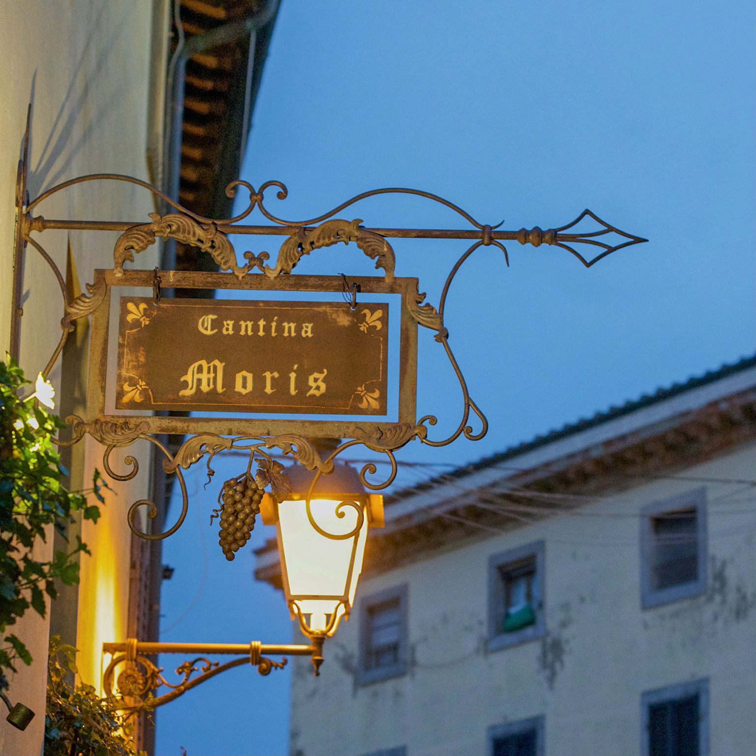 Morisfarms_Schild