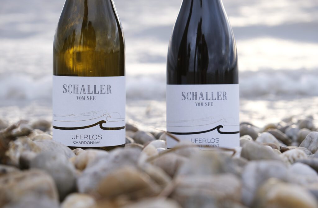 Schaller-by-Steve-Haider-2022-141-1024x669