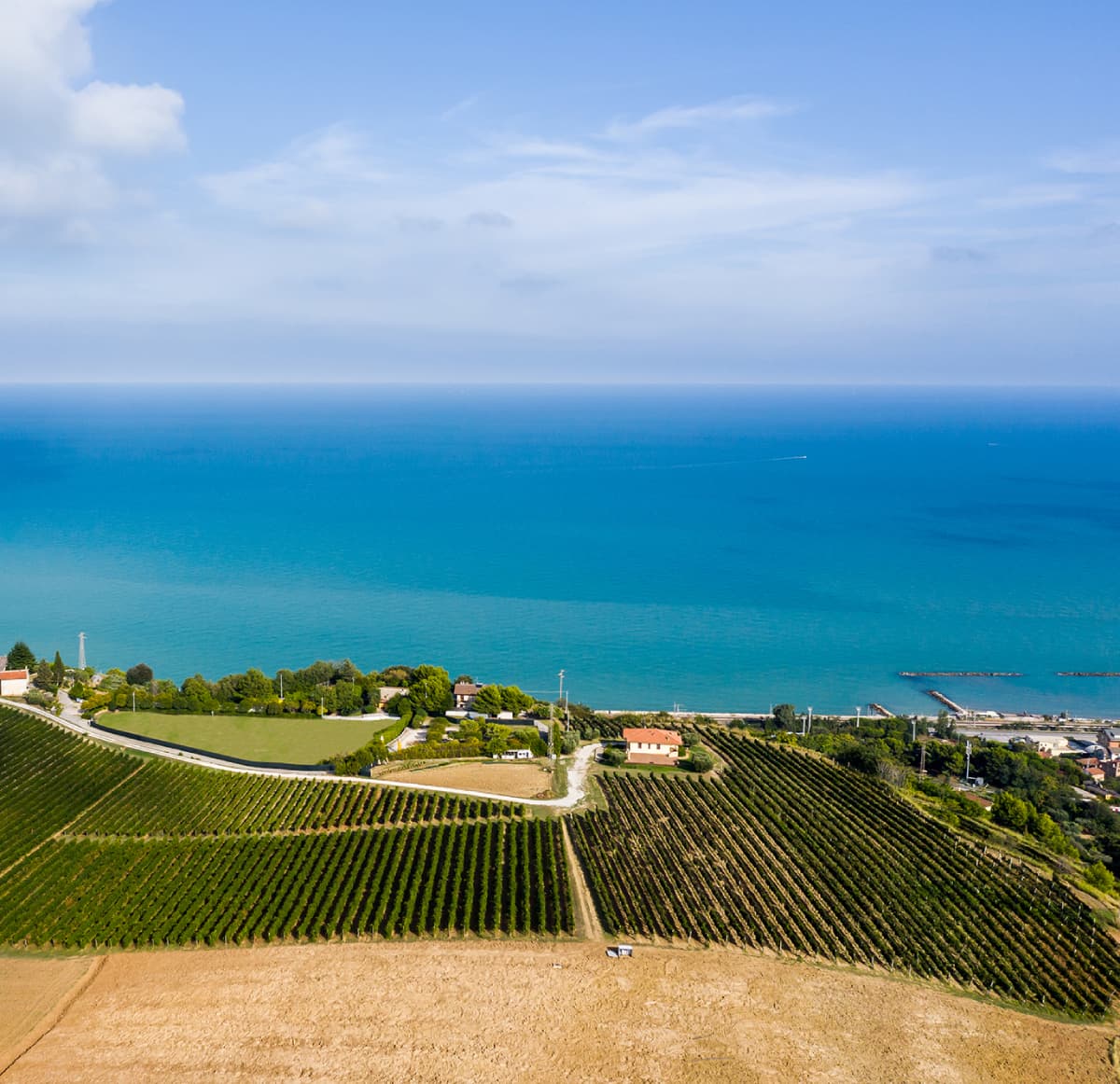 Foto_Weingut