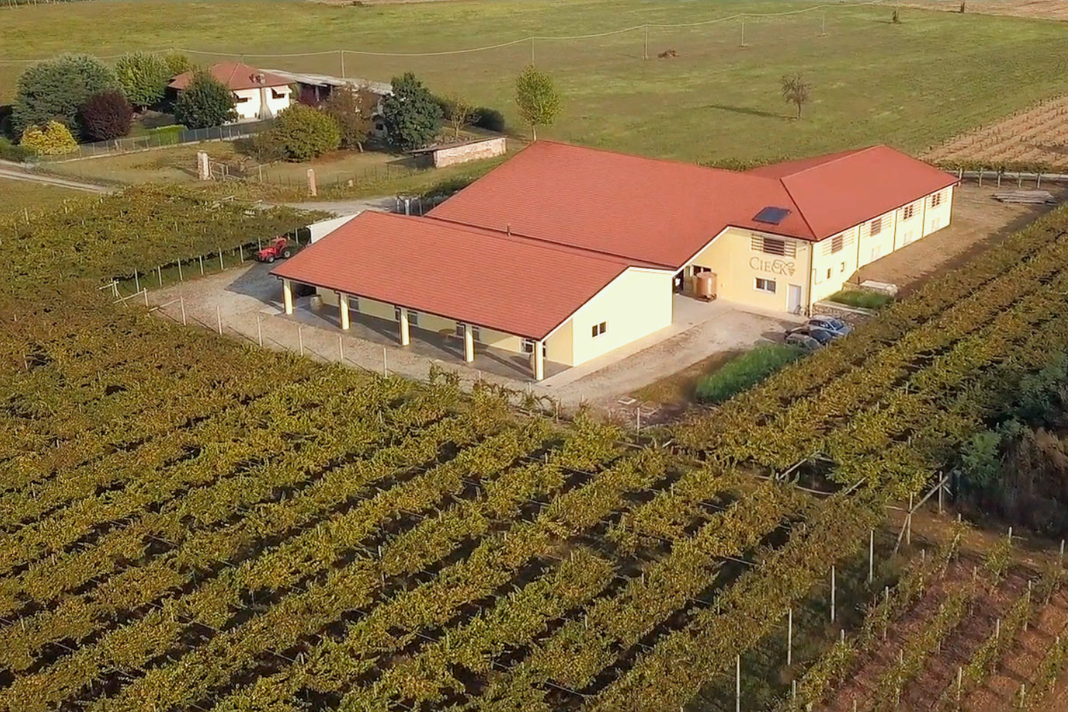 Weingut-Cieck