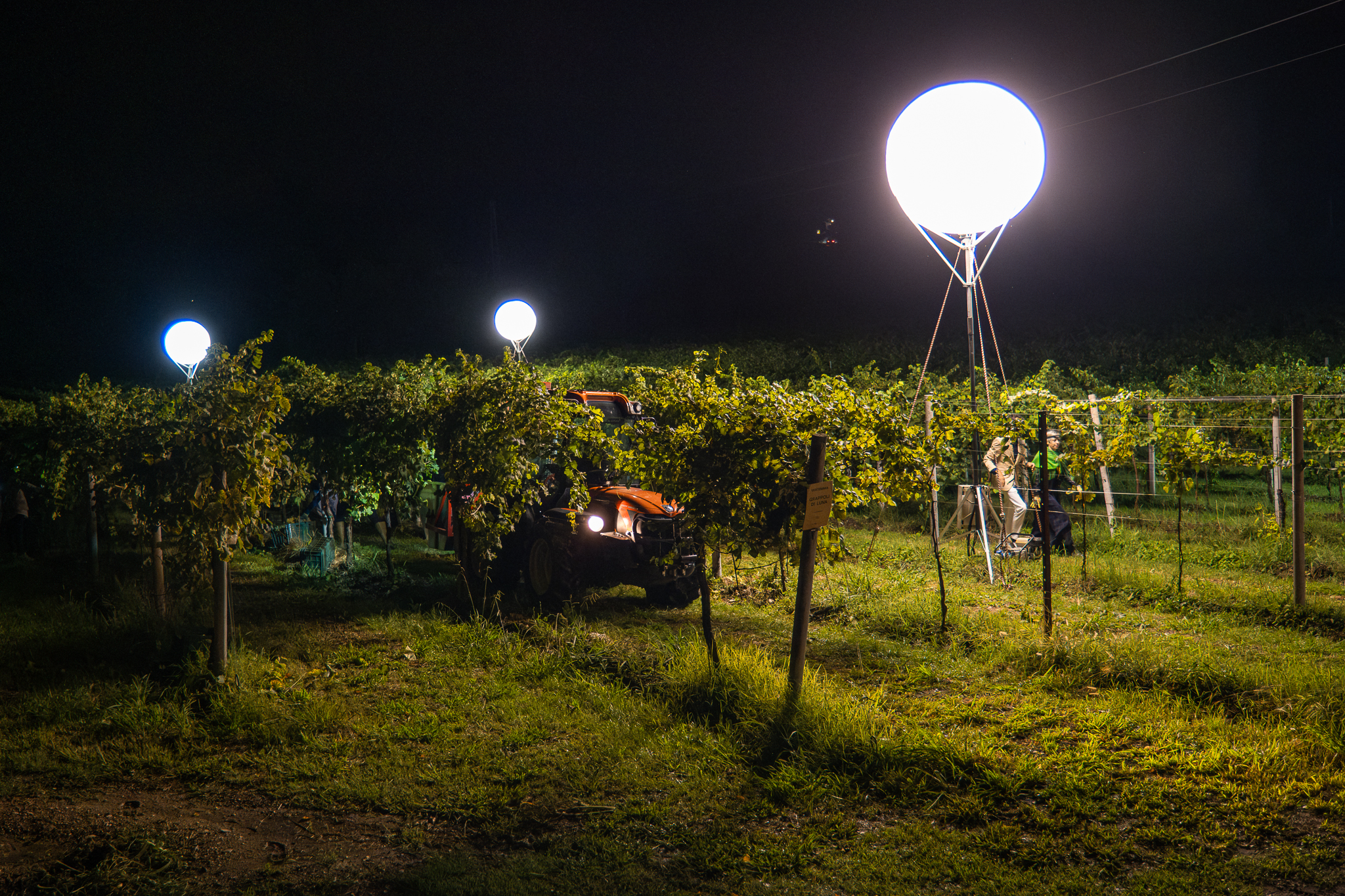 _DSF6767-Migliorato-NR