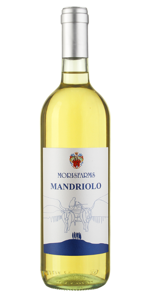 Mandriolo Vino Bianco d'Italia
