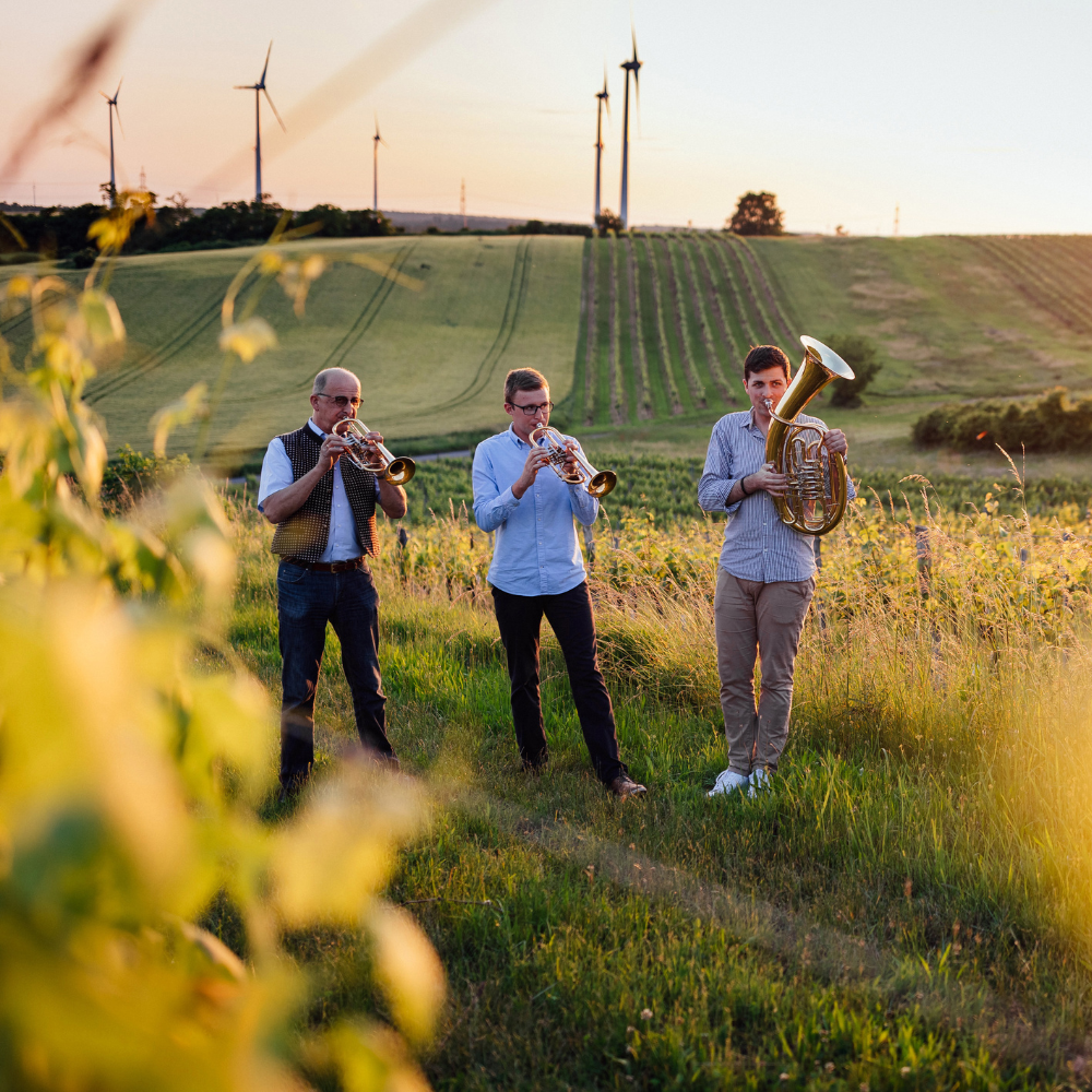Musik-im-Weingarten