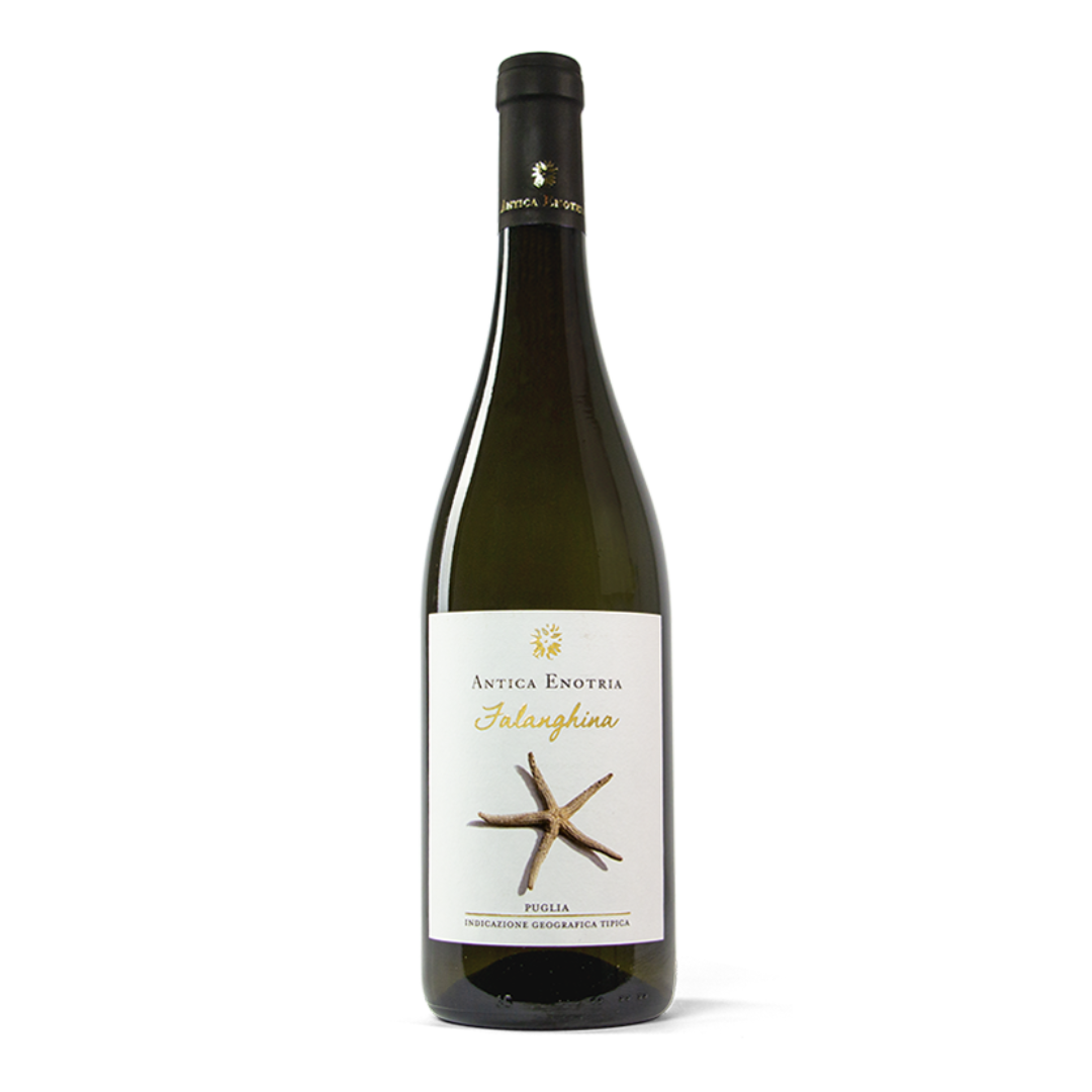Falanghina Puglia IGT 2022